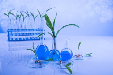 液相色譜串聯(lián)質(zhì)譜-植物激素檢測(cè)代測(cè)服務(wù)說(shuō)明圖1