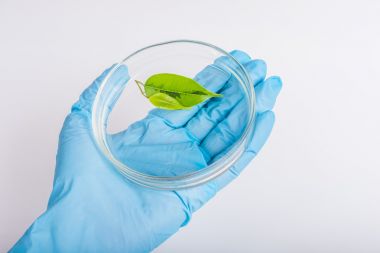 液相色譜串聯(lián)質(zhì)譜-植物激素檢測(cè)代測(cè)服務(wù)說(shuō)明圖2